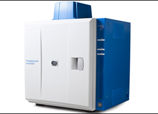 Biomolecular imager