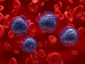 0326-1